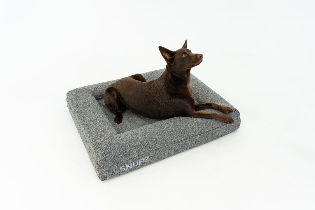 SNUPZ Luxury Orthopedic Medium grey boucle dog bed with a kelpie