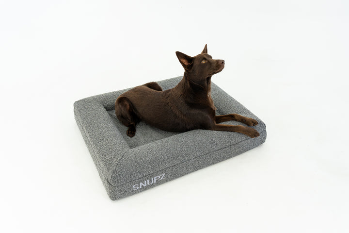 SNUPZ Luxury Orthopedic Medium grey boucle dog bed with a kelpie