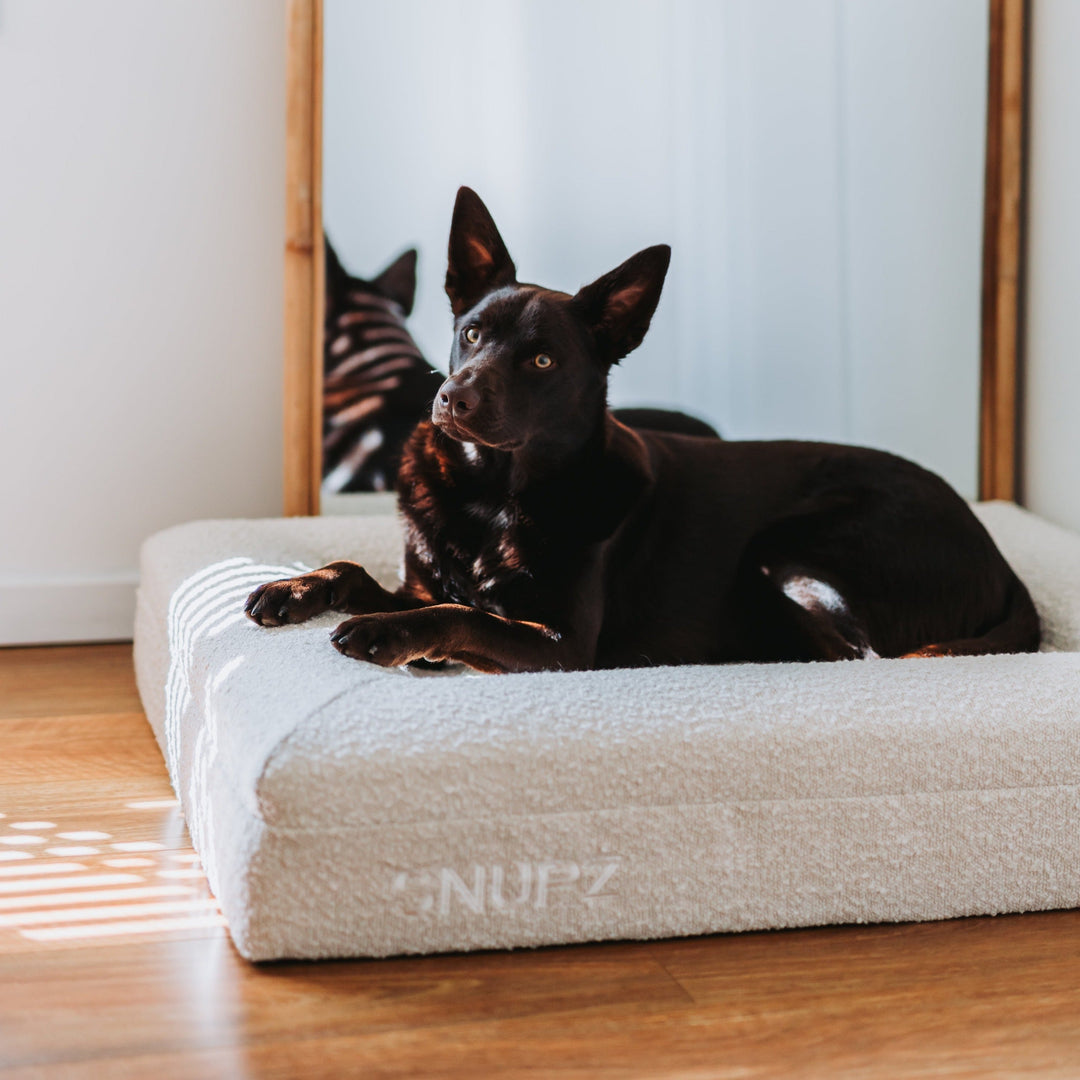 Medium - Luxury Bouclé Orthopaedic Memory Foam Dog Bed