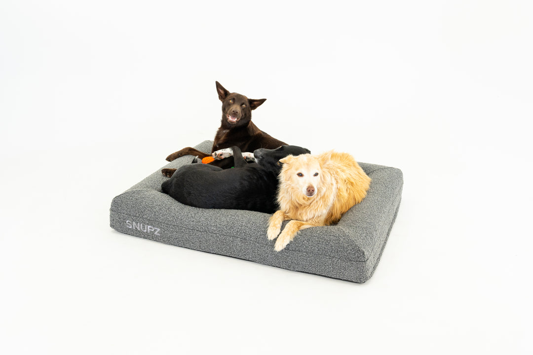 SNUPZ Luxury Orthopedic large grey boucle dog bed